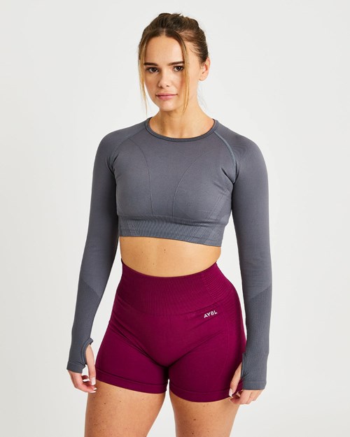 AYBL Balance V2 Seamless Long Sleeve Crop Top Grises | BDVCGYT-26