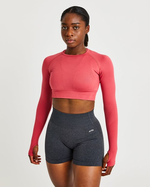 AYBL Balance V2 Seamless Long Sleeve Crop Top Rosas | CWNGLRV-10