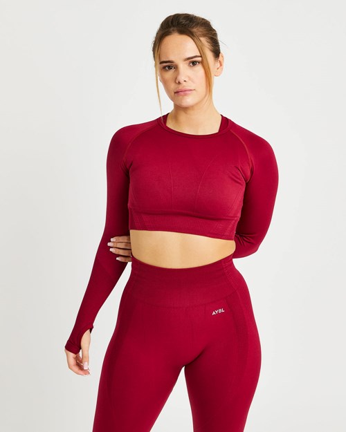 AYBL Balance V2 Seamless Long Sleeve Crop Top Rojos | VXIDMPA-46
