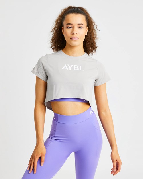 AYBL Crop T Shirt Grises | MOCZDXQ-57