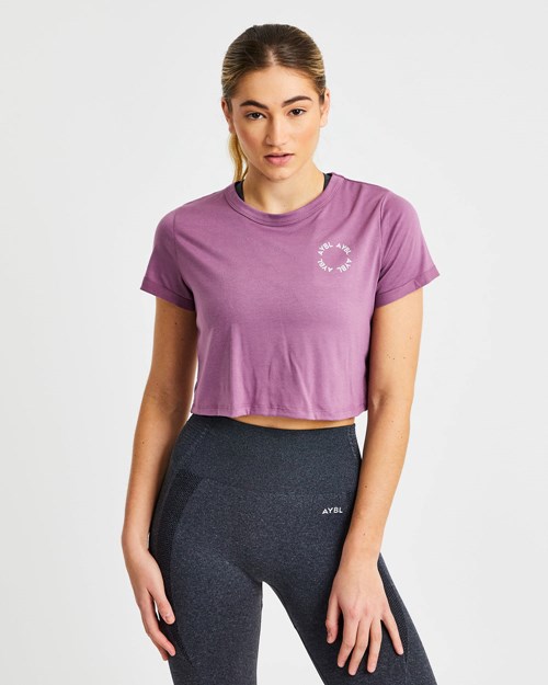 AYBL Element Crop Top Morados | CDVMBOL-25