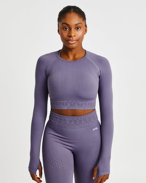 AYBL Elevate Seamless Long Sleeve Crop Top Morados | COUYAPB-35