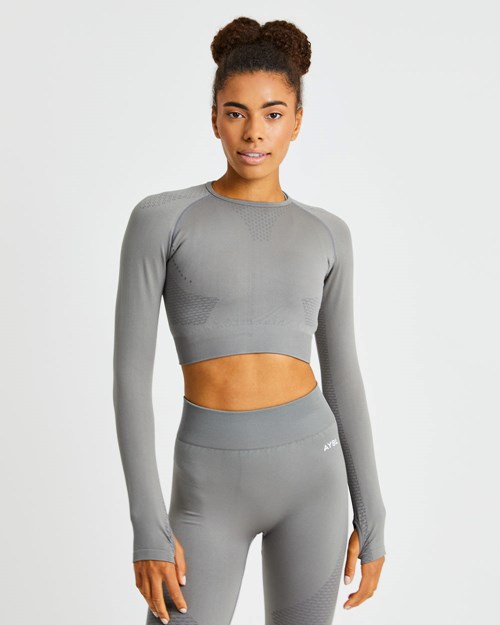 AYBL Ignite Seamless Long Sleeve Crop Top Grises | CTGPKIZ-52