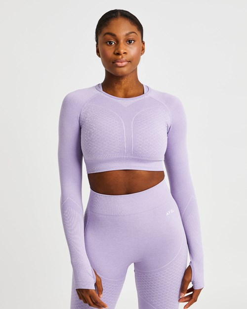 AYBL Impact Seamless Long Sleeve Crop Top Lilac | VYRWTDU-47