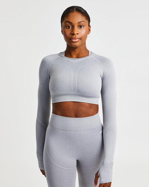 AYBL Impact Seamless Long Sleeve Crop Top Grises | WSARBYX-59