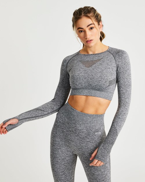 AYBL Motion Seamless Long Sleeve Crop Top Grises | AMRGKYV-08