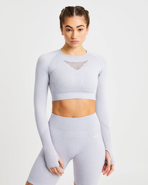 AYBL Motion Seamless Long Sleeve Crop Top Grises Claro | MXNTJKG-10