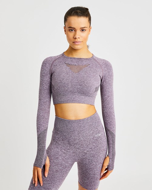 AYBL Motion Seamless Long Sleeve Crop Top Morados | RMPIWSX-73