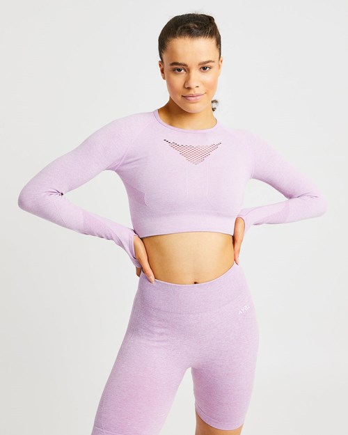 AYBL Motion Seamless Long Sleeve Crop Top Rosas | WCYQOVS-62