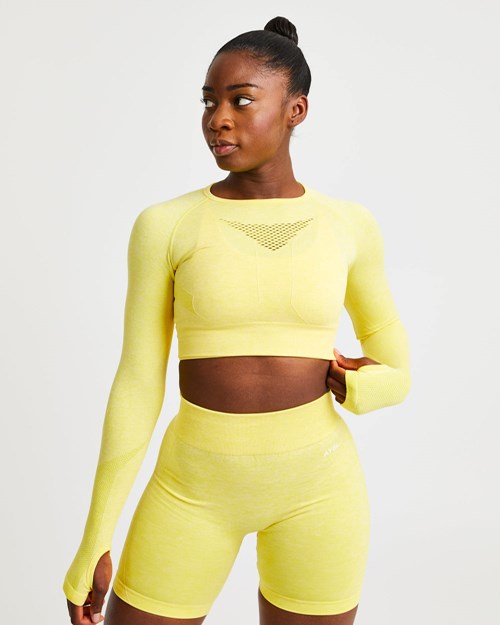 AYBL Motion Seamless Long Sleeve Crop Top Amarillos | ZRXLATP-69