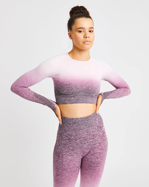 AYBL Pulse Ombré Seamless Long Sleeve Crop Top Plum | ABIHONC-65