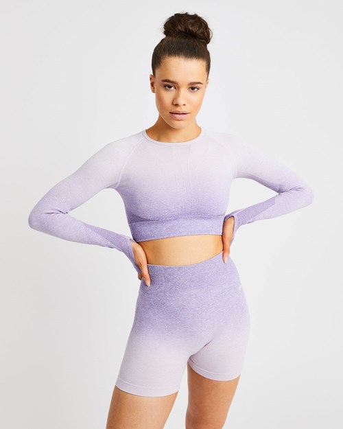 AYBL Pulse Ombré Seamless Long Sleeve Crop Top Lilac | BZSKMXP-82