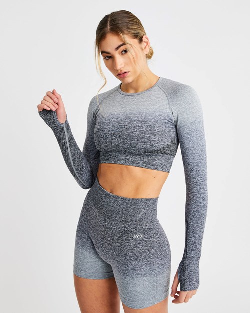 AYBL Pulse Ombré Seamless Long Sleeve Crop Top Grises | MWDKZSC-46