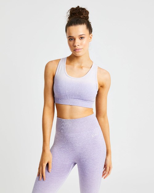 AYBL Pulse Ombré Seamless Sports Bra Lilac | ILKXVTM-67