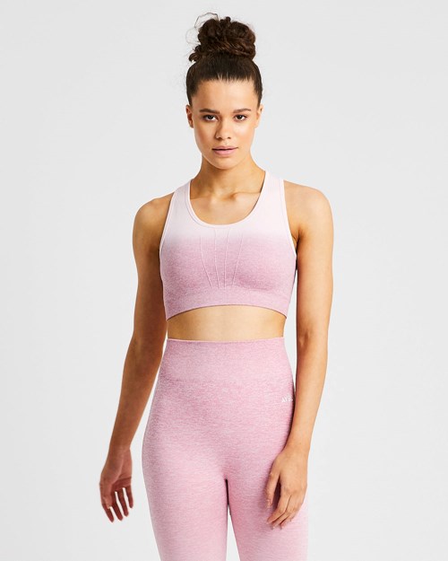 AYBL Pulse Ombré Seamless Sports Bra Rosas | DRKLCIB-19