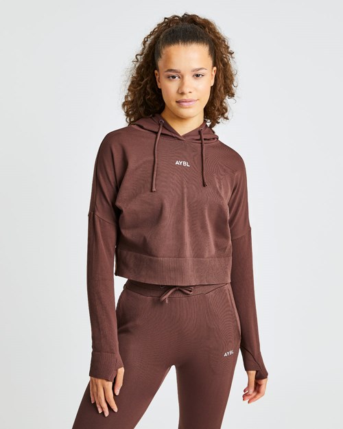 AYBL Recovery Hoodie Chocolate Marrom | AXUNLJF-32