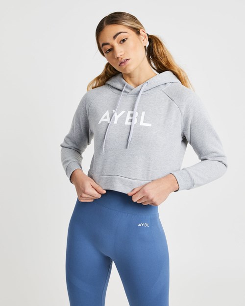 AYBL Staple Crop Hoodie Grises Claro | SPVJILD-08