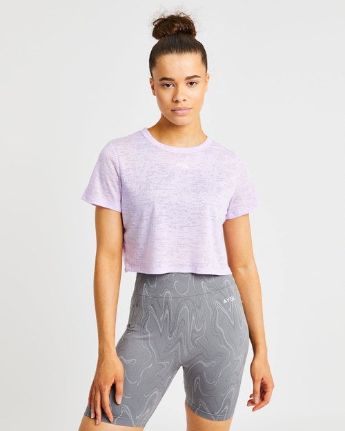 AYBL Velocity Crop T Shirt Lilac | AYHGFSR-70