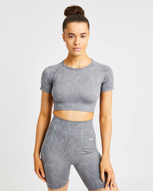 AYBL Velocity Seamless Crop Top Grises | HMDJVIC-39