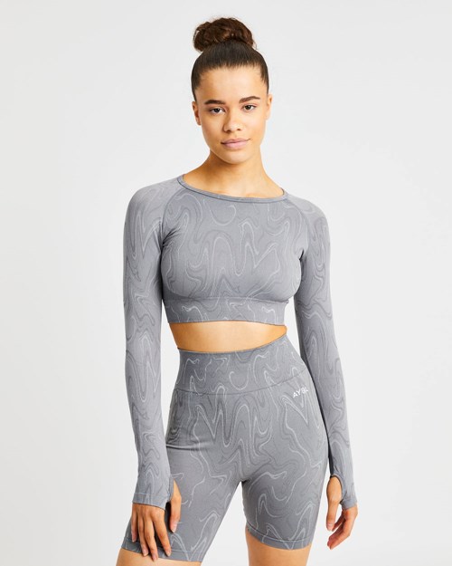 AYBL Velocity Seamless Long Sleeve Crop Top Grises | MKQWTBU-60